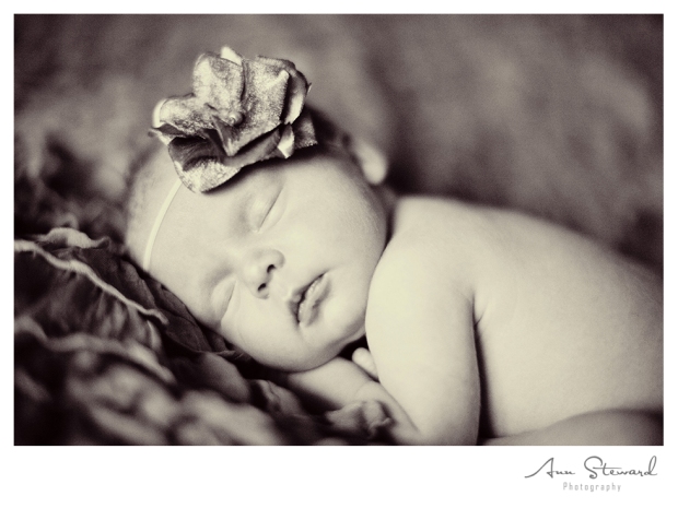 Iowa Newborn Photographer
