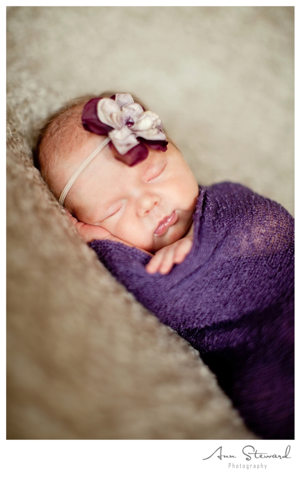 Davenport Newborn Photography
