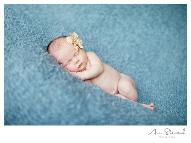Davenport newborn baby photography