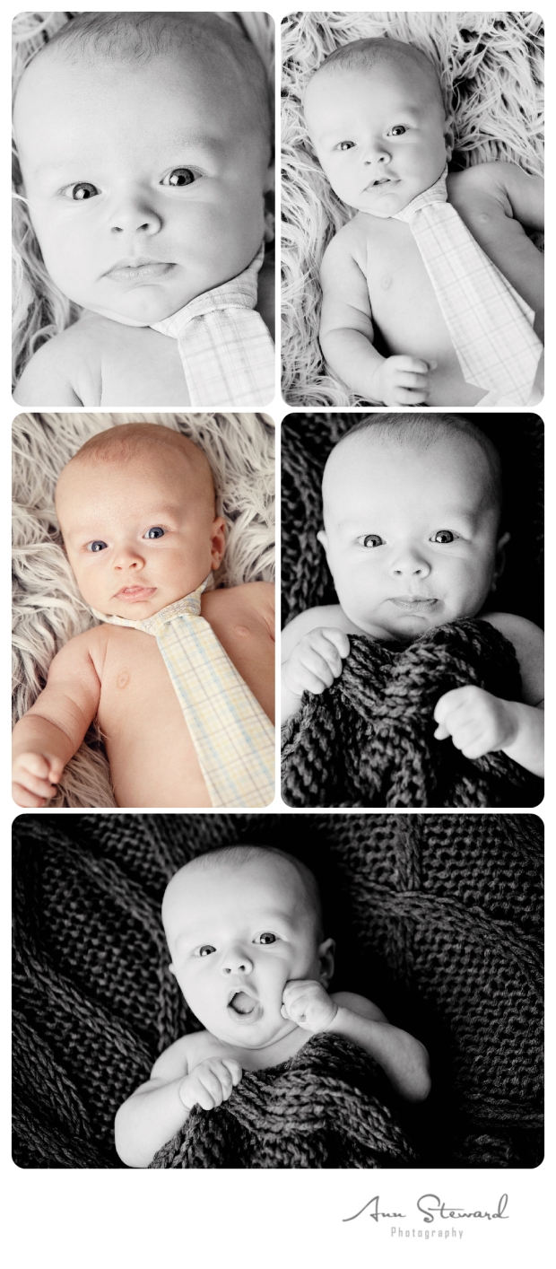 Davenport Baby Photographer